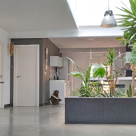Ferienwohnung Loft Carrasketa Alfafara Exterior foto