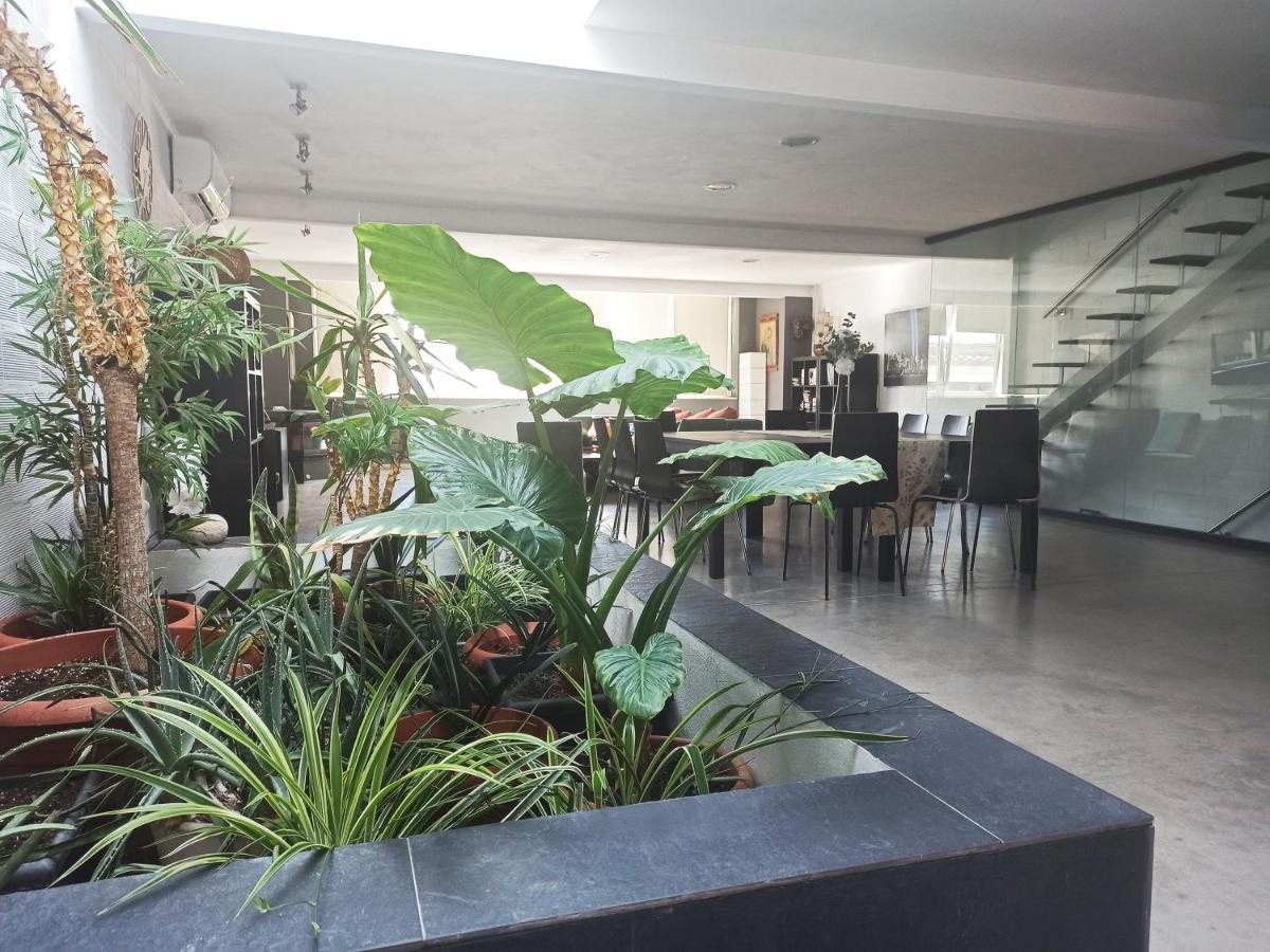Loft Carrasketa Alfafara