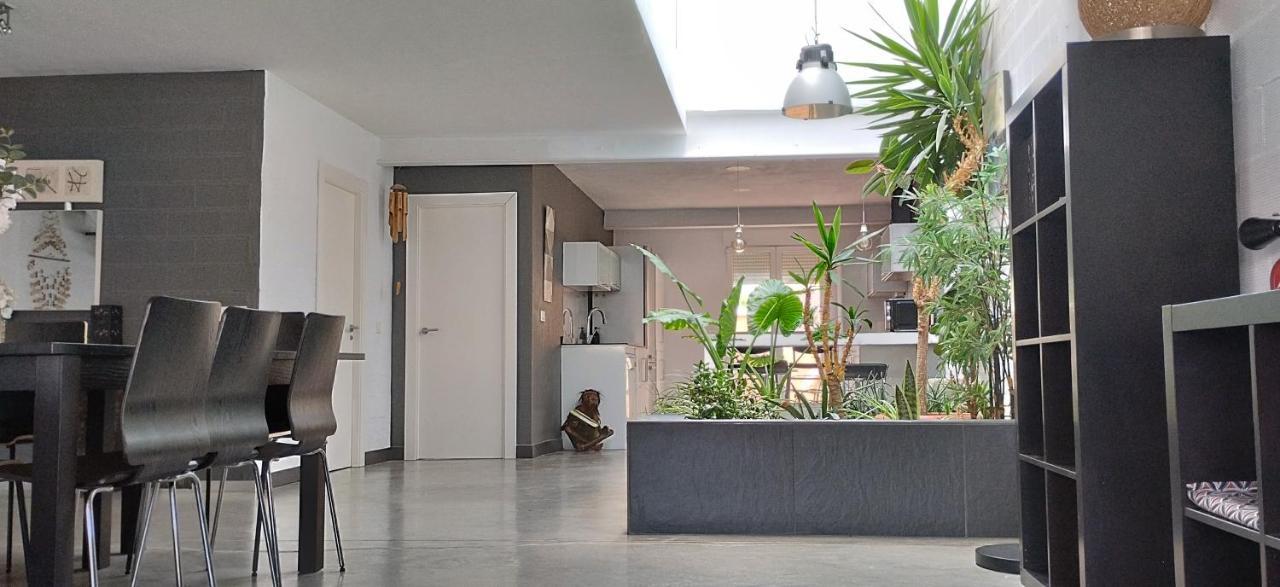 Loft Carrasketa Apartment *